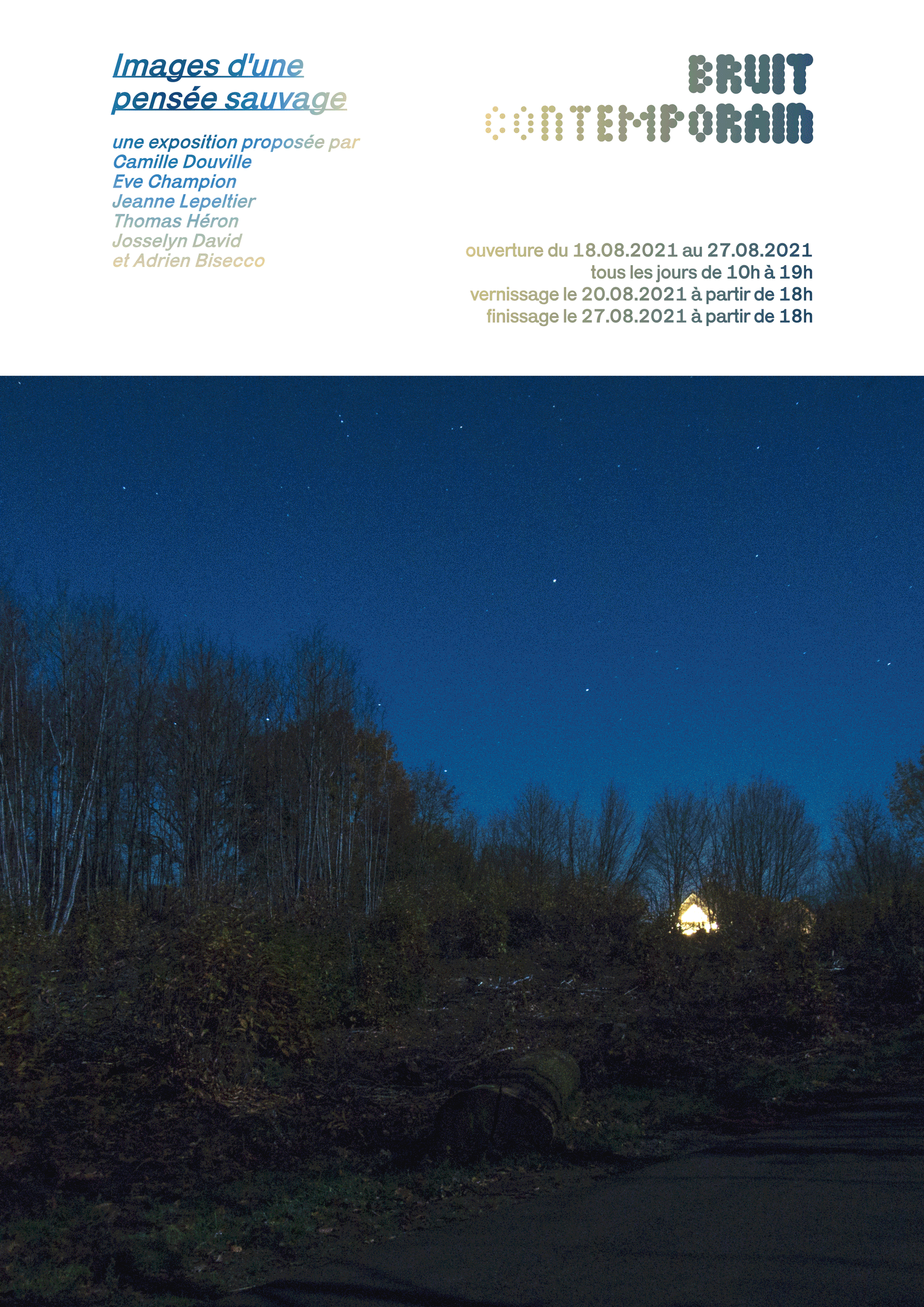 images-d-une-pensee-sauvage